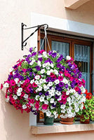 Amagabeli Hanging Plants Bracket 10'' Wall Planter Hooks Hangers Flower Pot Bird Feeder Wind Chime Lanterns Patio Lawn Garden for Shelf Shelves Fence Screw Mount Against Door Arm Hardware