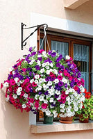 AMAGABELI GARDEN & HOME 079 Plant Brackets, 9.8inch, 1pack