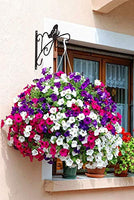 Amagabeli Hanging Plants Bracket 11 '' Wall Planter Hooks Hangers Flower Pot Bird Feeder Wind Chimes Lanterns Patio Lawn Garden for Shelf Indoor Outdoor Fence Screw Mount against Door Arm Hardware