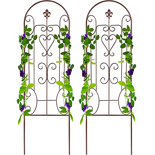 Amagabeli 2 Pack Garden Trellis for Climbing Plants 60" x 18" Brown Iron Potted Support Vines Metal Wire Plant Trellis for Climbing Vegetables Flower Patio Roses Cucumbers Clematis Pots Supports GT05