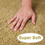 BEAU JARDIN Indoor Doormat Super Absorbent Mud Front Door Mat 36"x24" Latex Backing Non Slip for Front Inside Dirt Trapper Mats Cotton Entrance Rug Shoes Scraper Machine Washable Rug Carpet