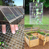 Amagabeli 1/4 Hardware Cloth 36 x 50 23Gauge Galvanized After Welded Wire Metal Mesh Roll Vegetables Garden Rabbit Fencing Snake Fence for Chicken Run Critters Gopher Racoons Rehab Cage Wire Window