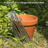 Amagabeli 6 Inch Garden Stakes Galvanized Landscape Staples 11 Gauge 500 Pack Heavy Duty Sod Pins Fence Stakes for Anchoring Weed Barrier Fabric Ground Cover Landscaping Tubing Garden Staples