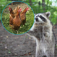 Amagabeli 1/4 Hardware Cloth 36 x 50 23Gauge Galvanized After Welded Wire Metal Mesh Roll Vegetables Garden Rabbit Fencing Snake Fence for Chicken Run Critters Gopher Racoons Rehab Cage Wire Window
