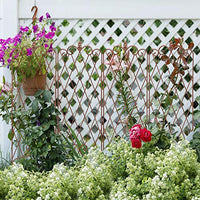 Amagabeli 2 Pack Garden Trellis for Climbing Plants 60" x 18" Rustproof Iron Potted Vines Vegetables Vining Flowers Patio Metal Wire Lattices Grid Panels for Ivy Roses Cucumbers Clematis Bronze