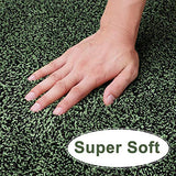 BEAU JARDIN Indoor Doormat Super Absorbent Mud Front Door Mat 36"x24" Latex Backing Non Slip for Front Inside Dirt Trapper Mats Cotton Entrance Rug Shoes Scraper Machine Washable Rug Carpet