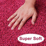 BEAU JARDIN Indoor Doormat Super Absorbent Mud Front Door Mat 36"x24" Latex Backing Non Slip for Front Inside Dirt Trapper Mats Cotton Entrance Rug Shoes Scraper Machine Washable Rug Carpet